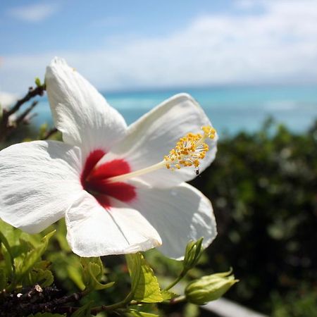 Surf Side Beach Club Mount Pleasant Buitenkant foto
